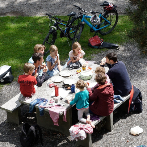 Family Picnic