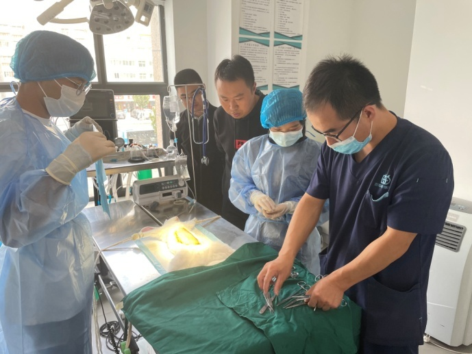 图片2.png 图片2.png