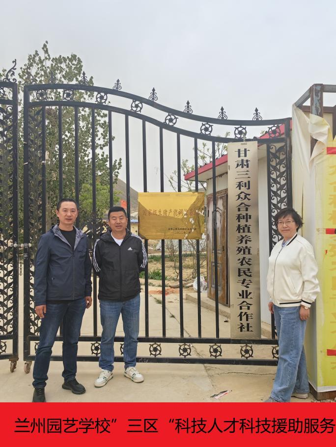 图片1.png 图片1.png