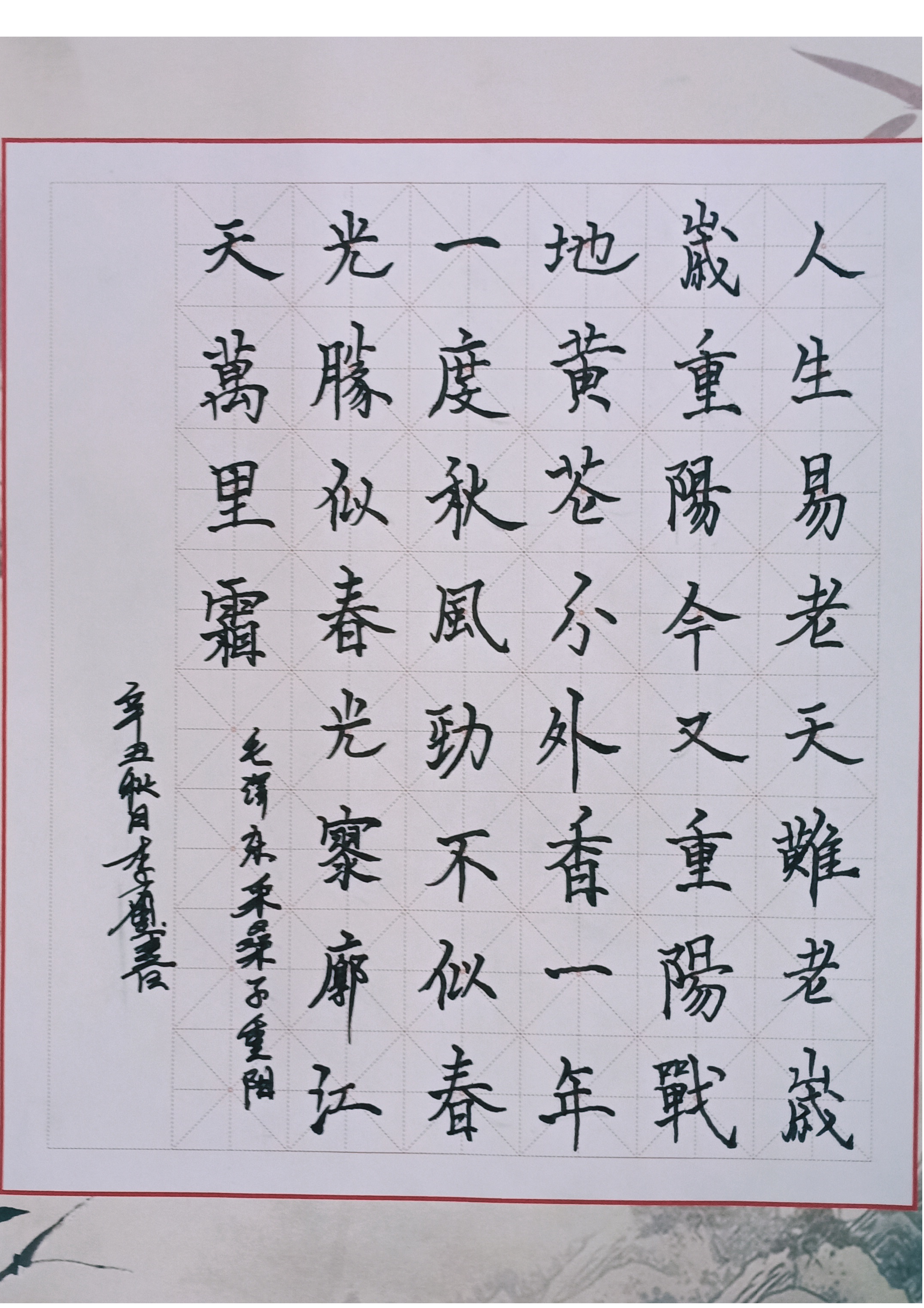 图片6.png 图片6.png