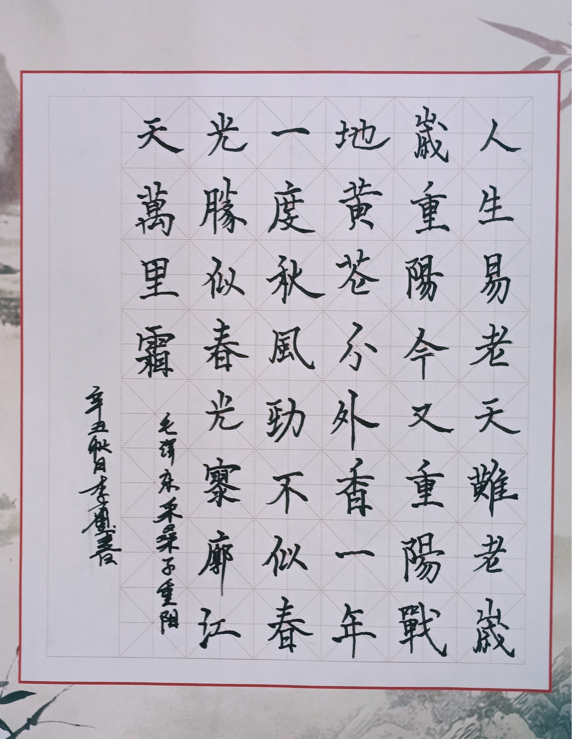 图片5.png 图片5.png