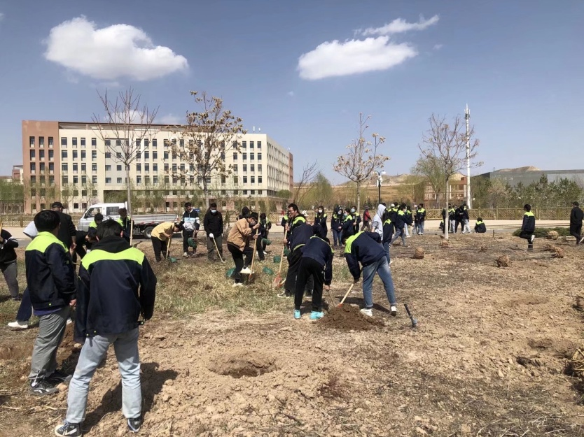 图片12.png 图片12.png