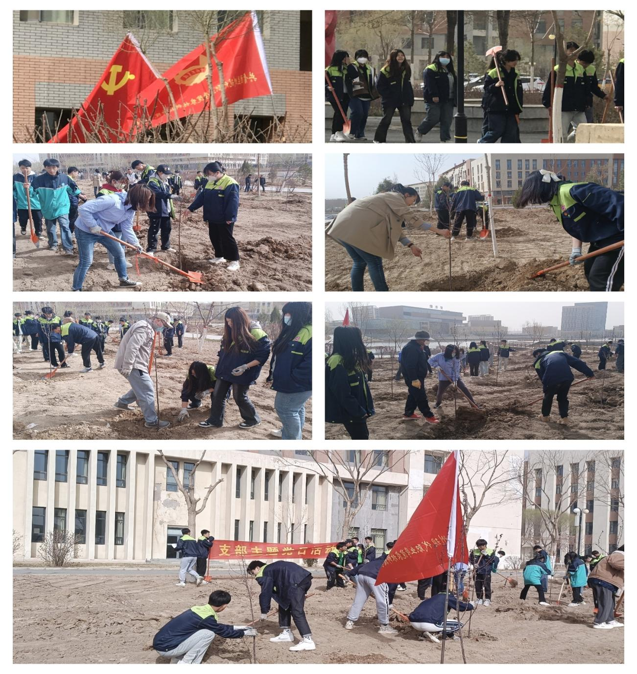 图片3.png 图片3.png